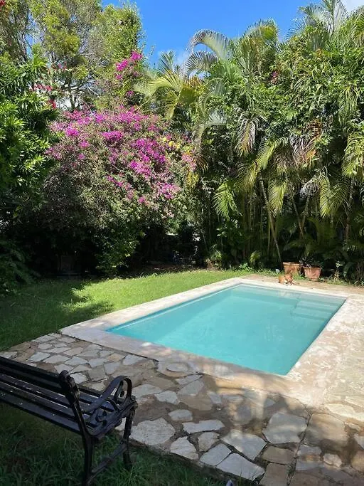 La Pared Villa Los Cerros, Hermosa Villa Familiar, Colina En El Bosque Y La Playa