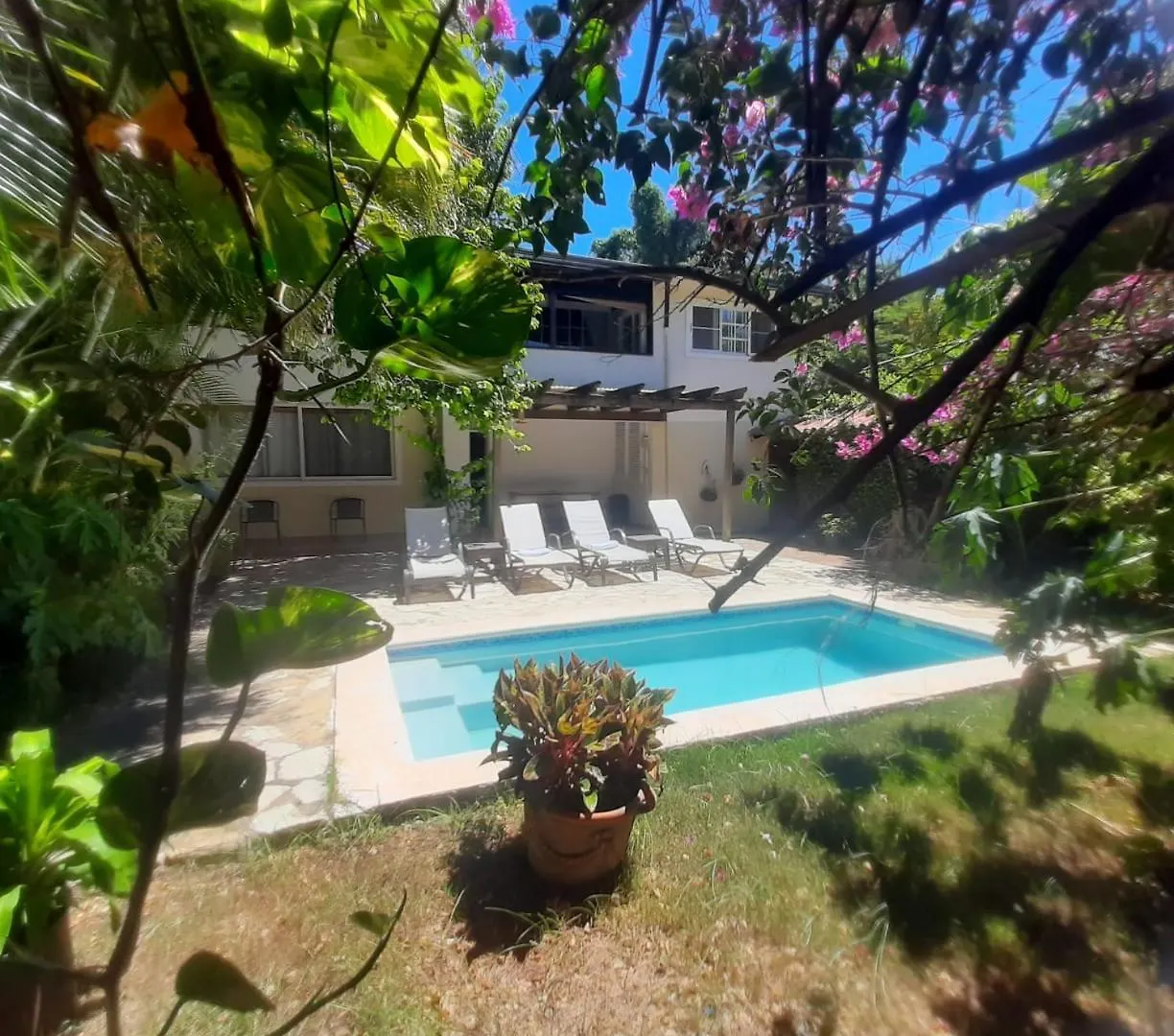 La Pared Villa Los Cerros, Hermosa Villa Familiar, Colina En El Bosque Y La Playa הרפובליקה הדומיניקנית